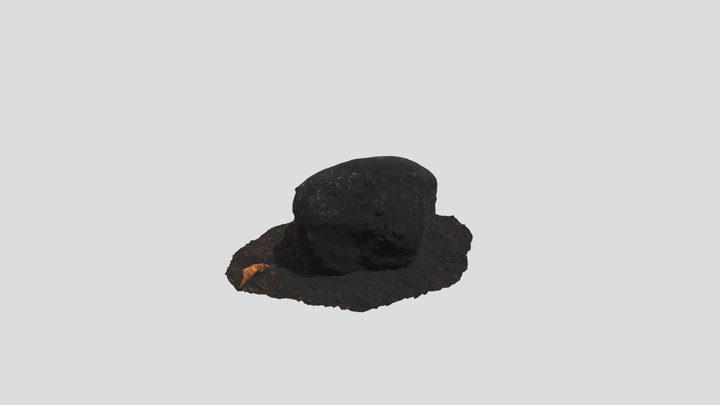 Rock In A Forest 4
