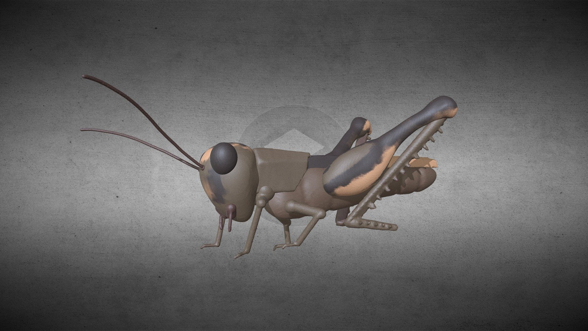 Onironauta VR 2019-02-01 Saltamontes