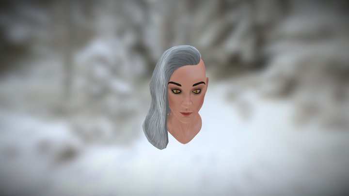 Female Witcher Bust [WIP] 3D Model