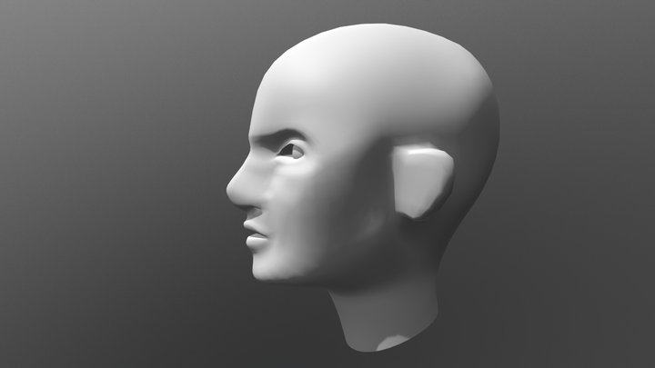 Human Head Model 3D Model