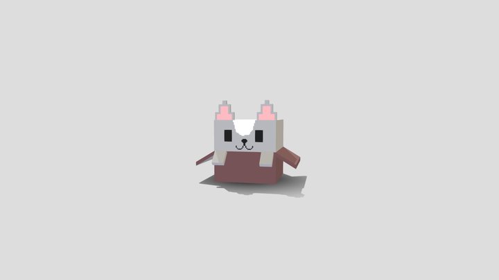 Cat in the box 3D Model