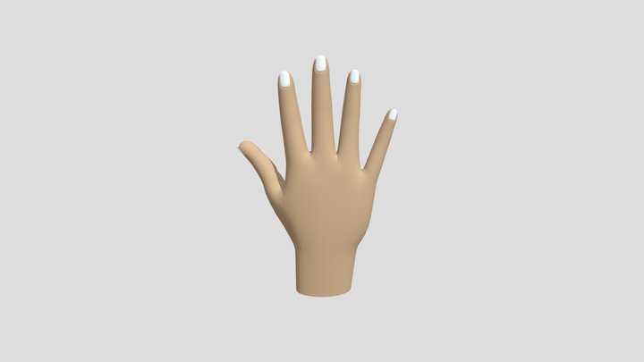 Hand 3D Model