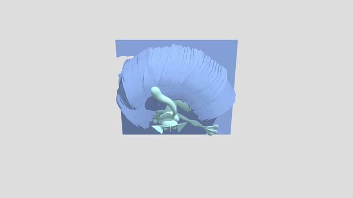 Copy Of Greninja (4) 3D Model