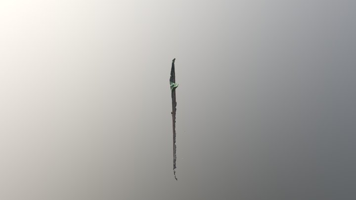 Ancient Wall 01 3D Model