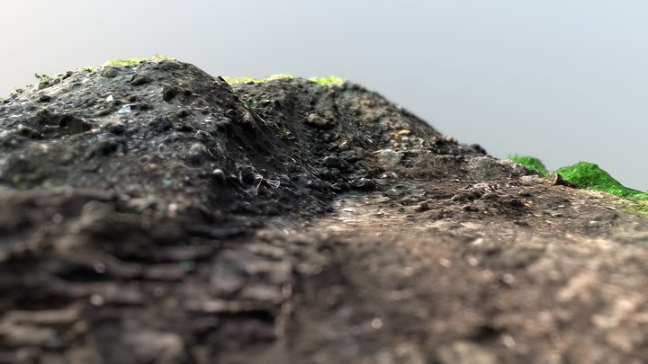Photoscaned dirt hill 3D Model
