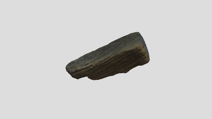 Houtfragment 3D Model