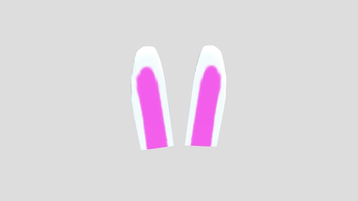 Bunny Ear 3D Model