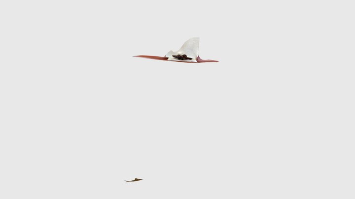 Mystery artifact test 2 3D Model
