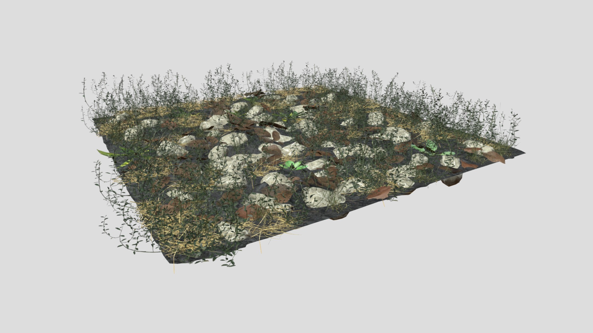 3D model Knotweed Meadow Patch - This is a 3D model of the Knotweed Meadow Patch. The 3D model is about a tree with snow on it.