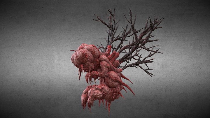 Neuro Mycete 3D Model
