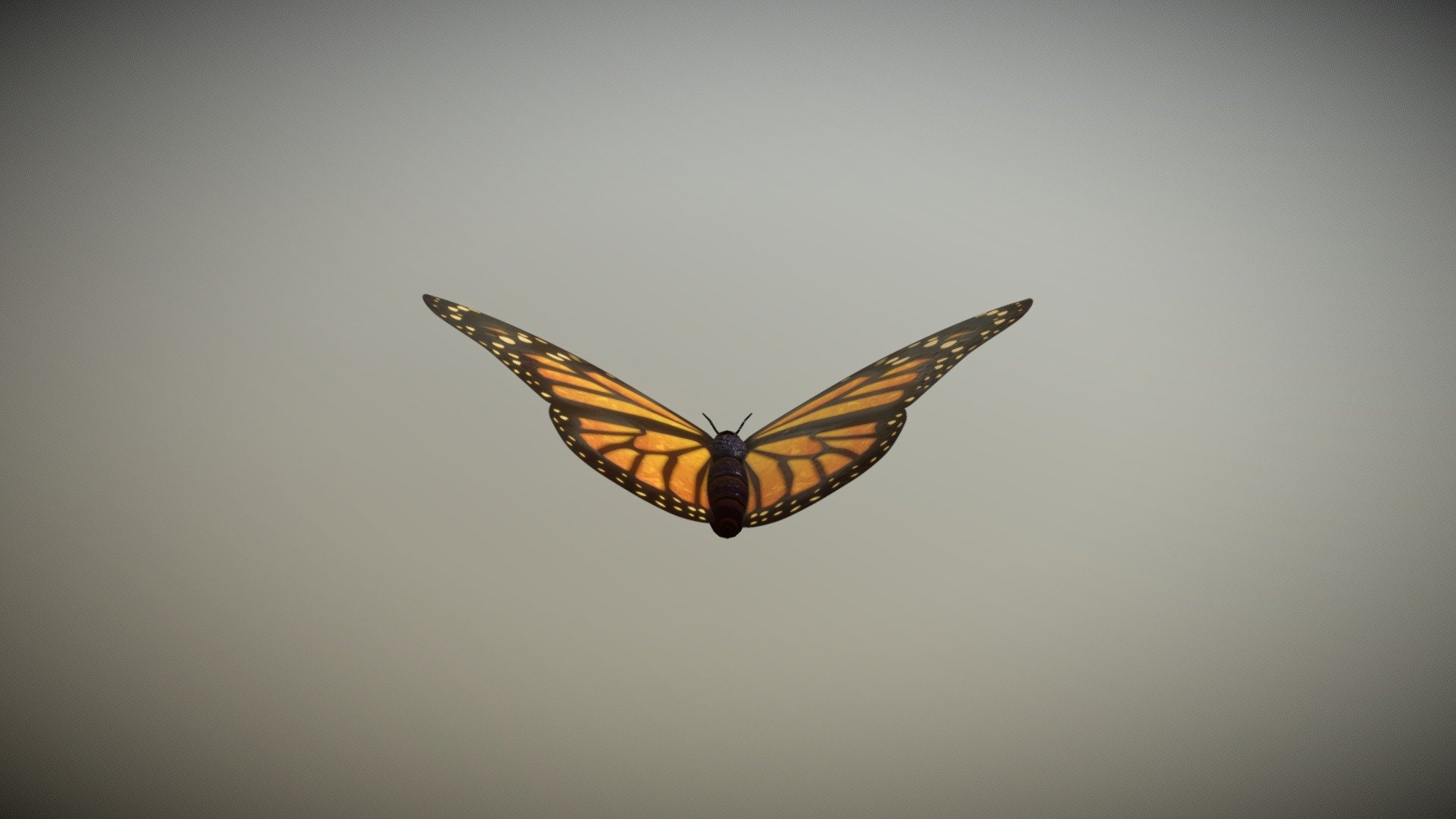 Butterfly - Download Free 3D model by parples [1c0bac0] - Sketchfab