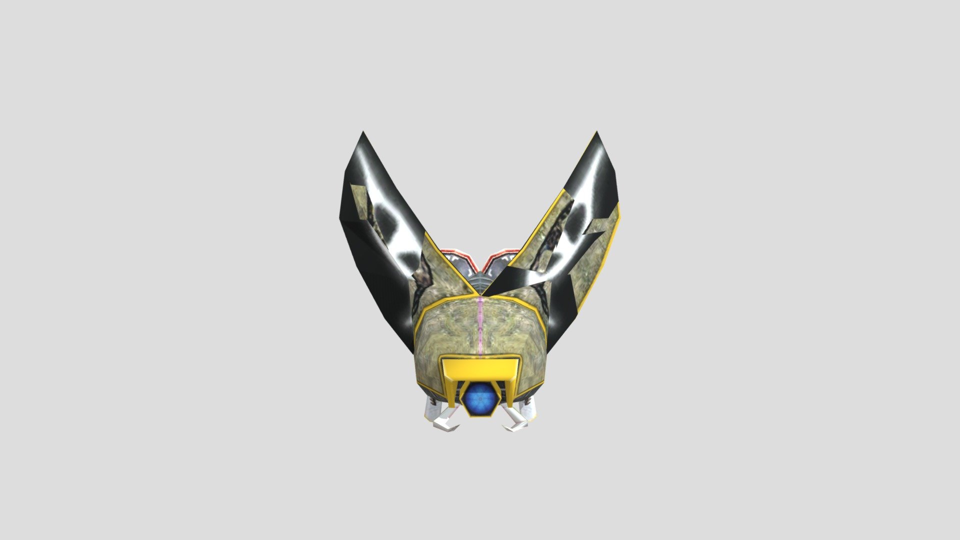 Egg Beetle