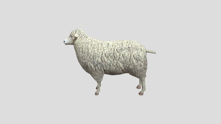 Cult of The Lamb - The Lamb - Download Free 3D model by