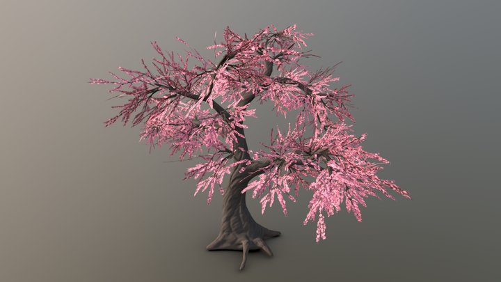 Sakura – Modello 3D gratuito STL