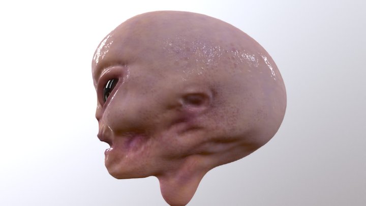 ALIEN HEAD 3D Model