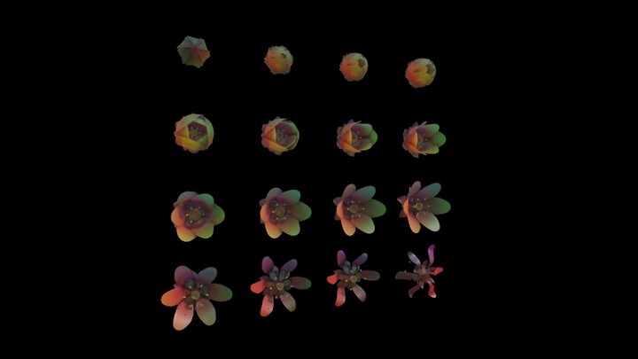 Digital_Flower_D_front_by xyzuvwopq 3D Model