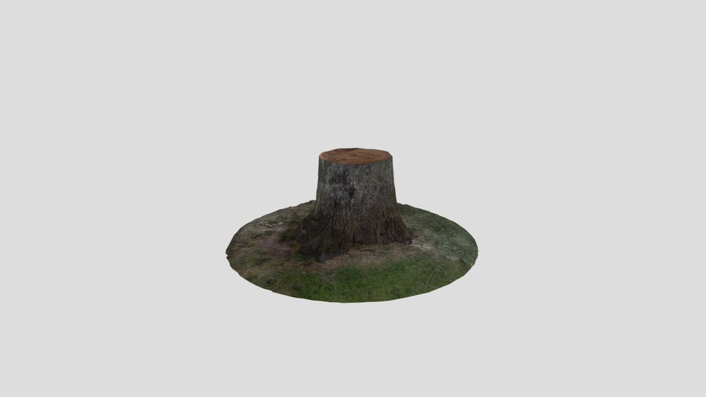 Tree Stump