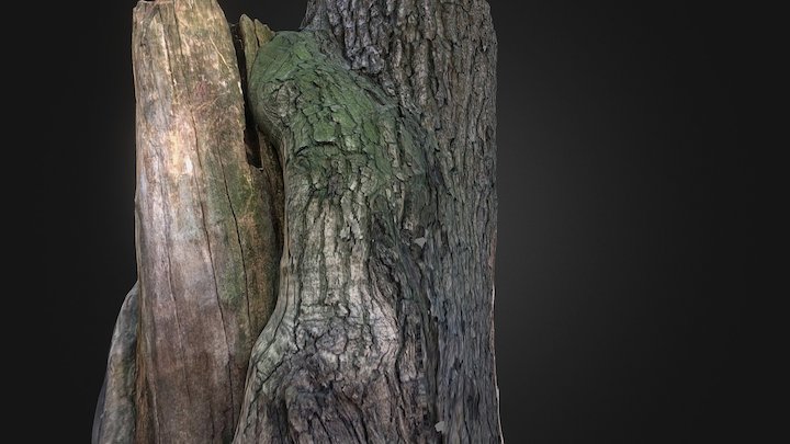 Tree 004 – Free 3D Model STL