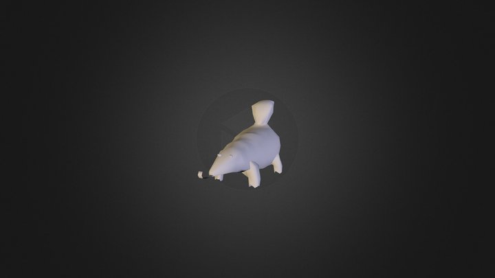 Skunk Model 3D Model