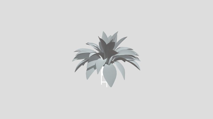 Haran Iron Plant Elder Var Potted – Modèle 3D gratuit STL