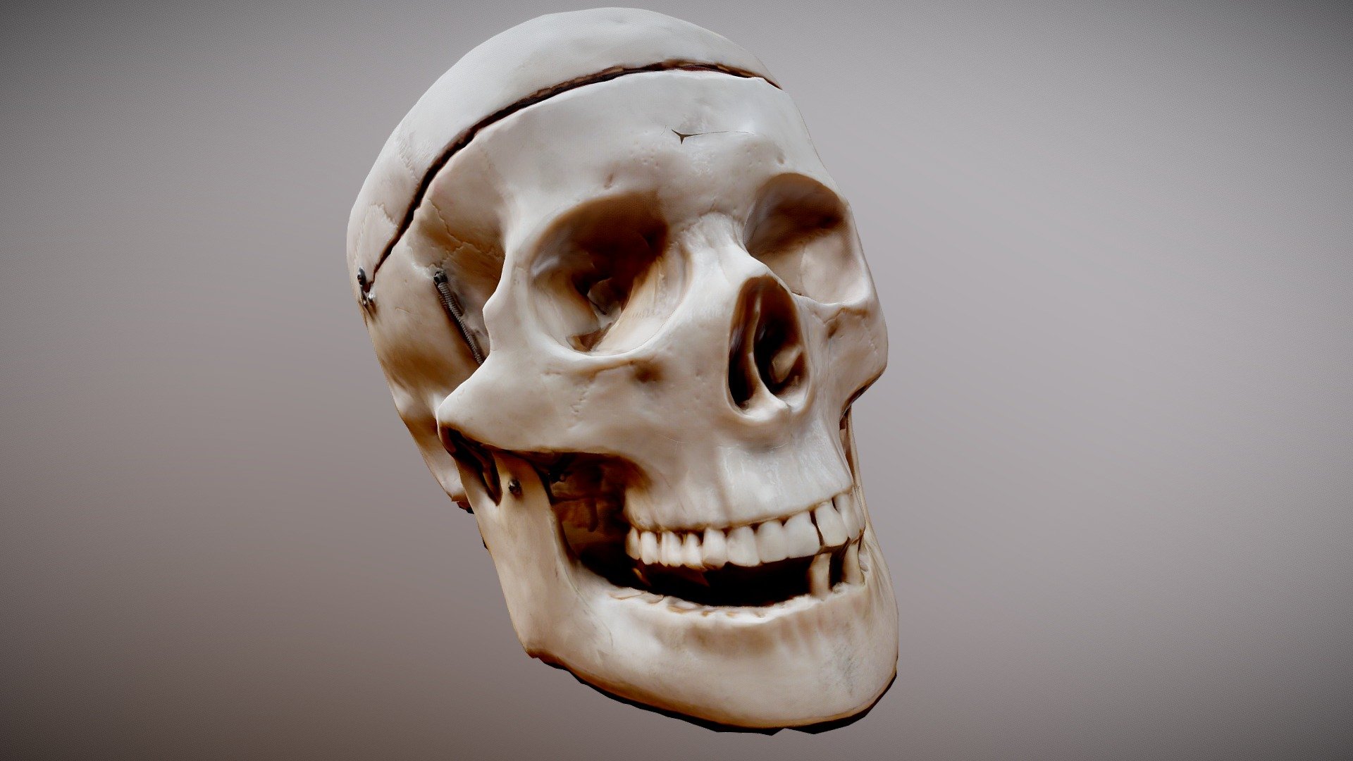 Crane Itecom Skull