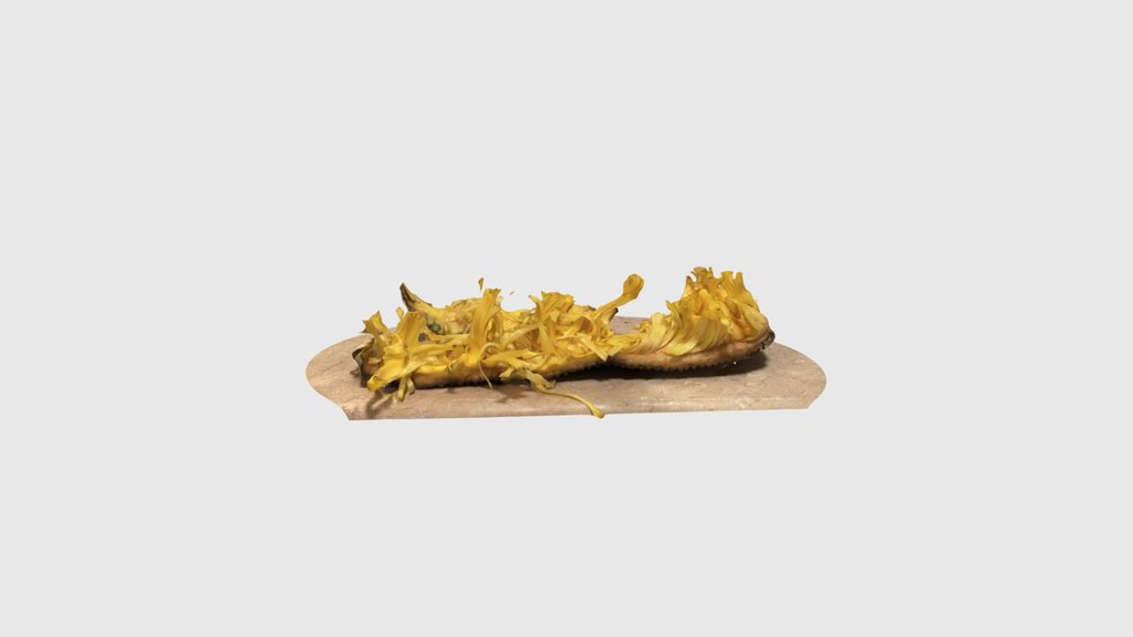 Jackfruit Husk