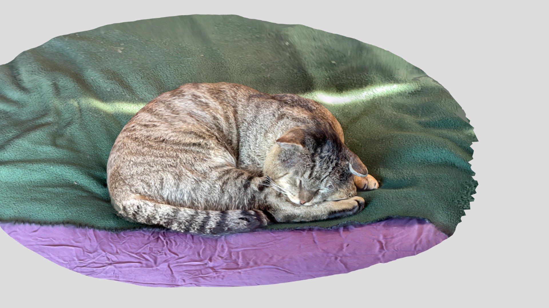 bigboi big wrapped big nap