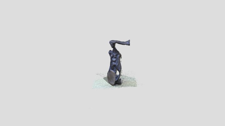 Acollidora 3D Model