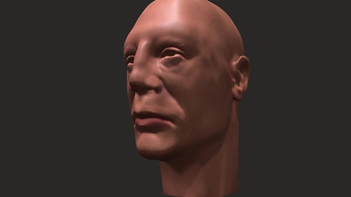 Jav_head_texture 3D Model