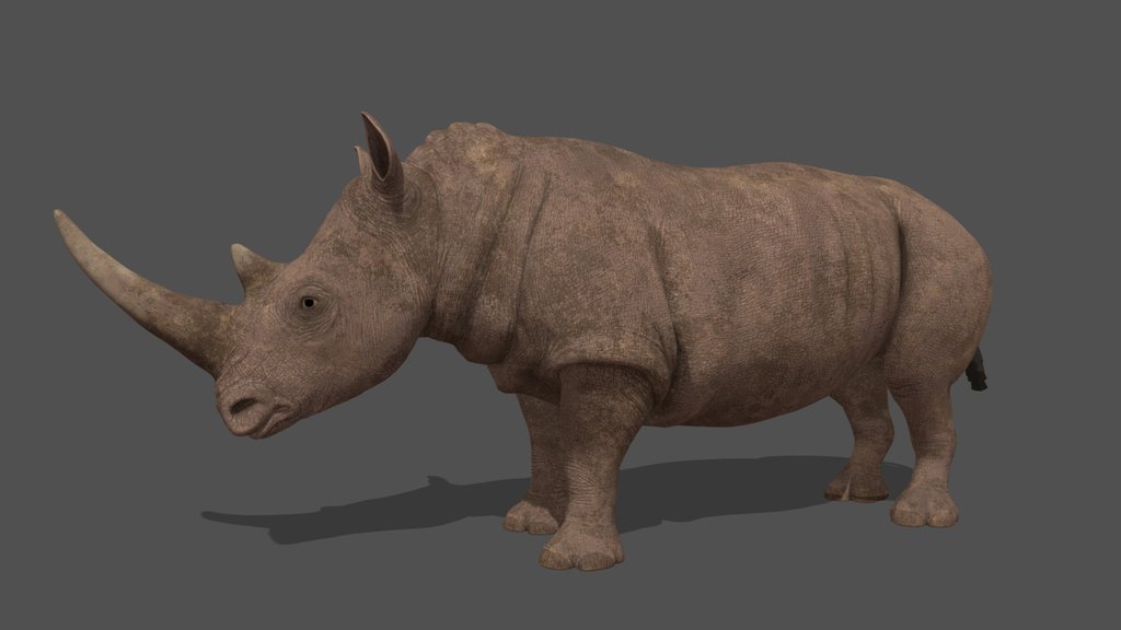 Animated Rhino – 3D Animal Model