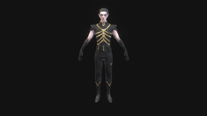 Dark Elf Character Model 3D Model