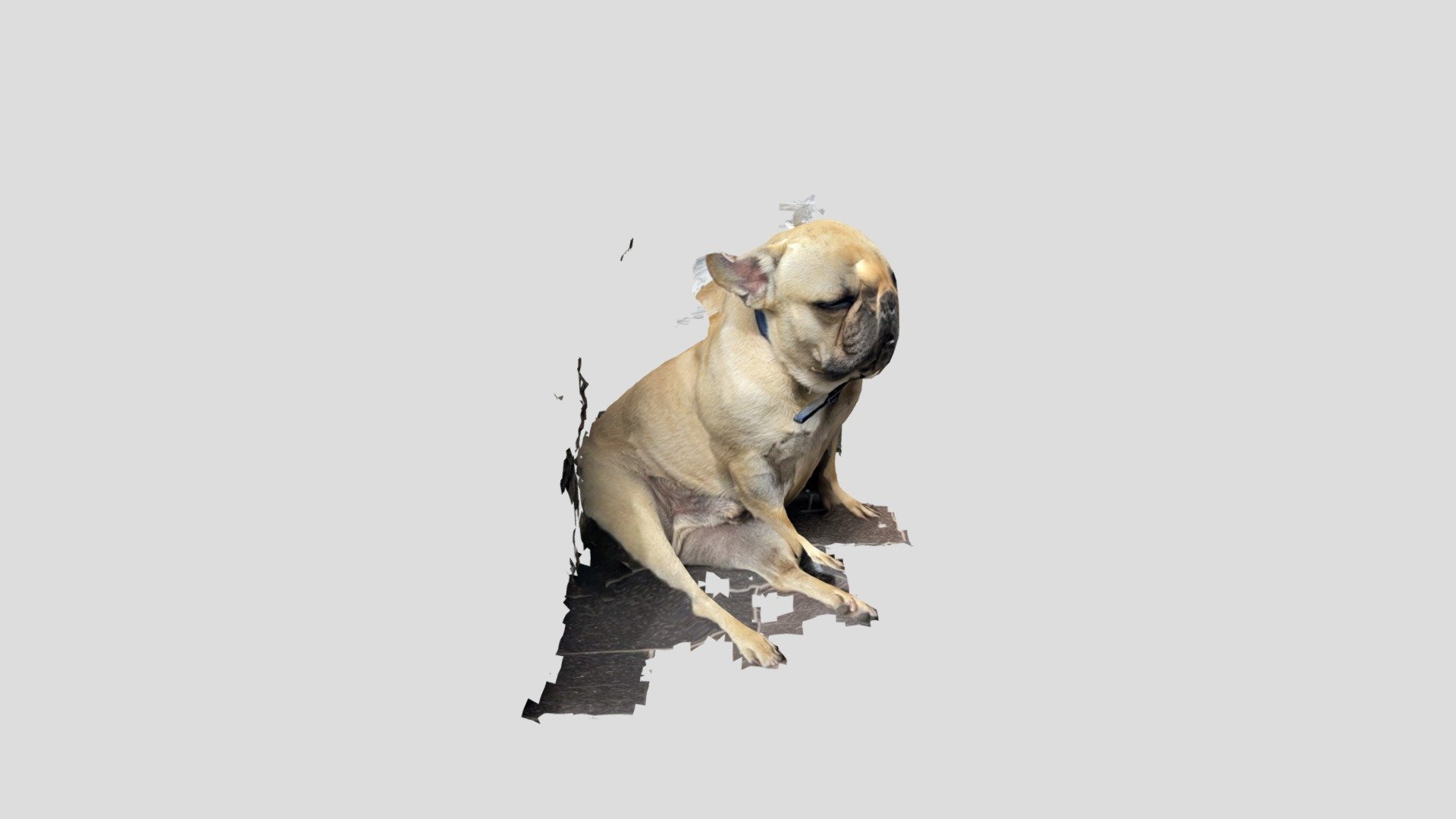 Dog 3 - 3DSA