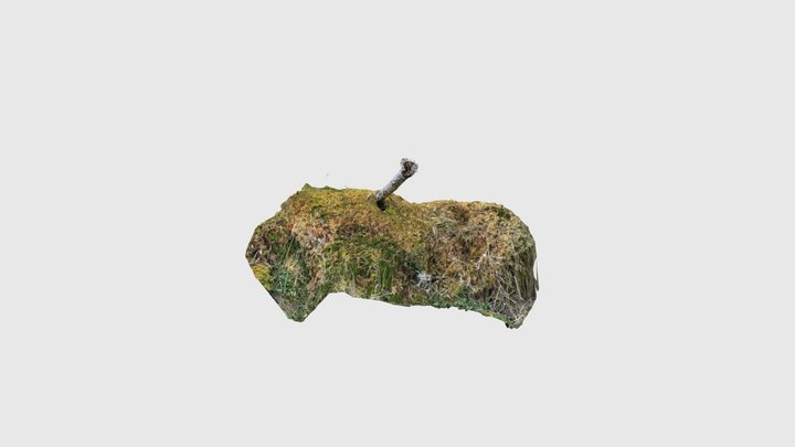 Grass with stump 3D Model