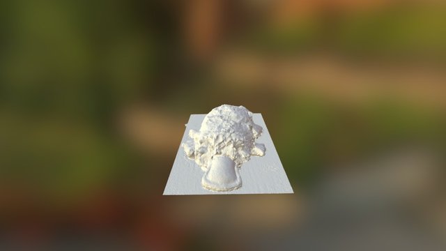The Platypus Form 3D Model