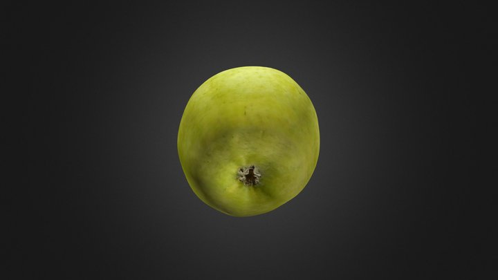 Apple 3D Model