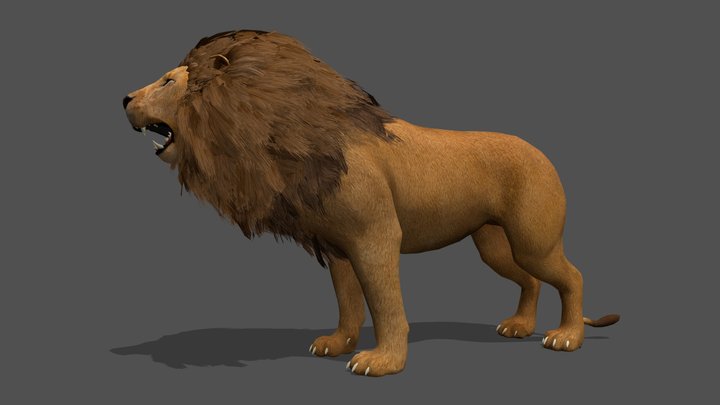Animated Lion – 3D Animal Model 3D Model