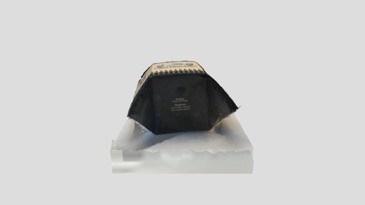 Scan 2023-03-17T17:35:50.142Z 3D Model