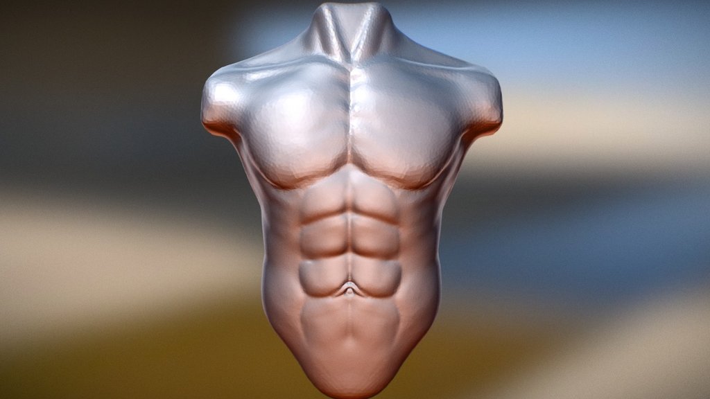 SculptJanuary#16 Torso