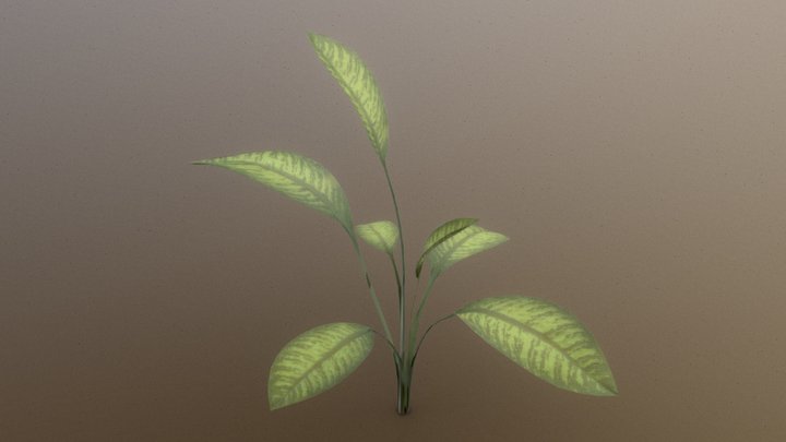 plant_simple.002 3D Model