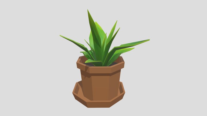 Small plant in a pot 3D Model