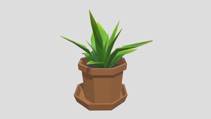 Small plant in a pot 3D Model