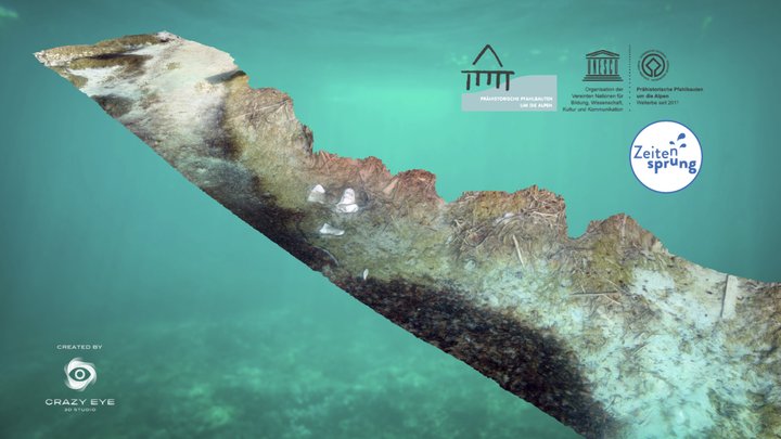 Underwater scene 3D Model