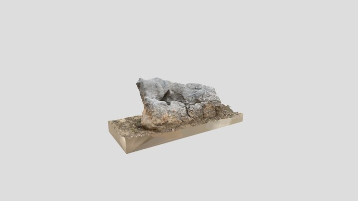 Community scan stone 3D Model