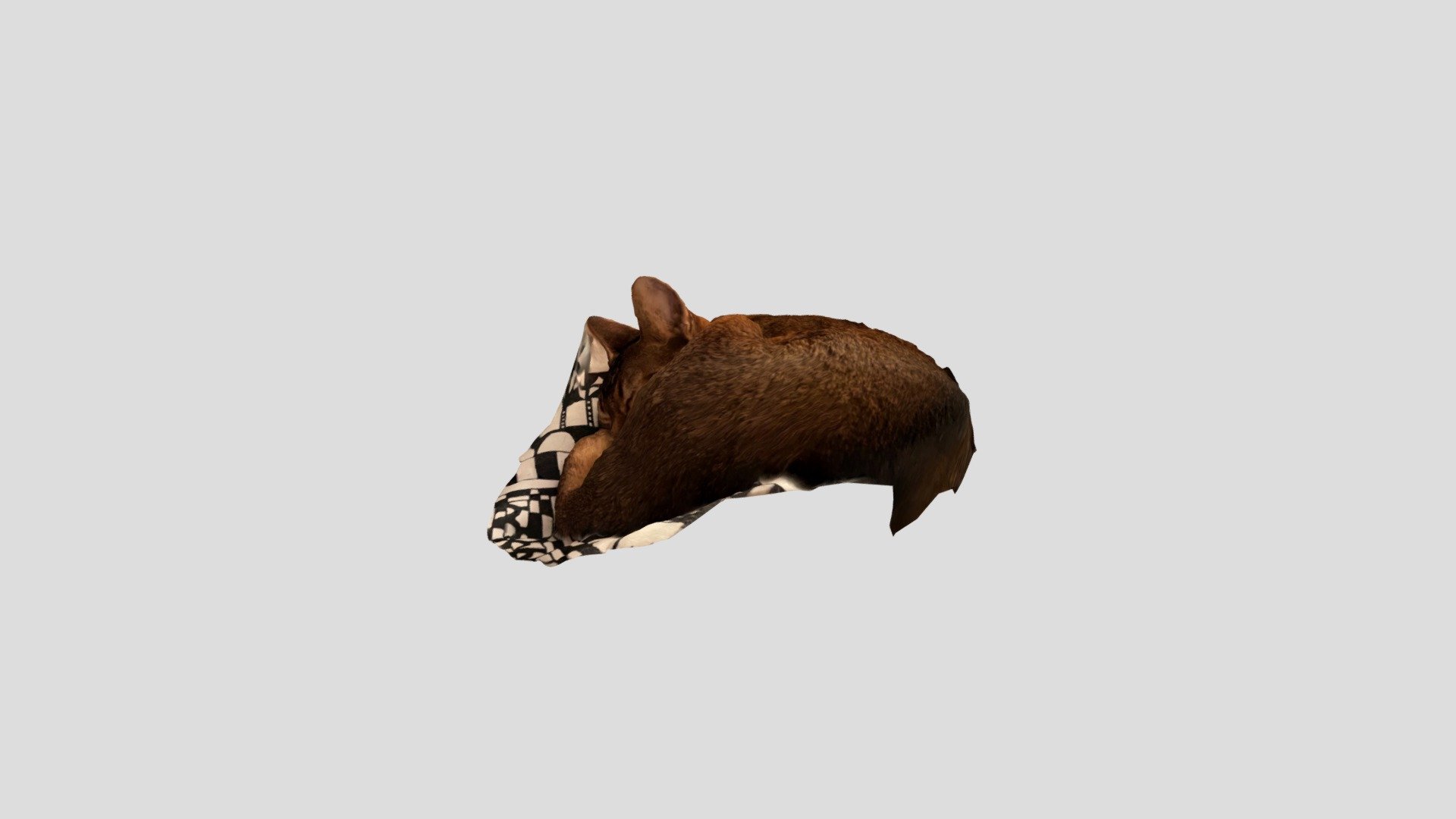 Cat Brouxa