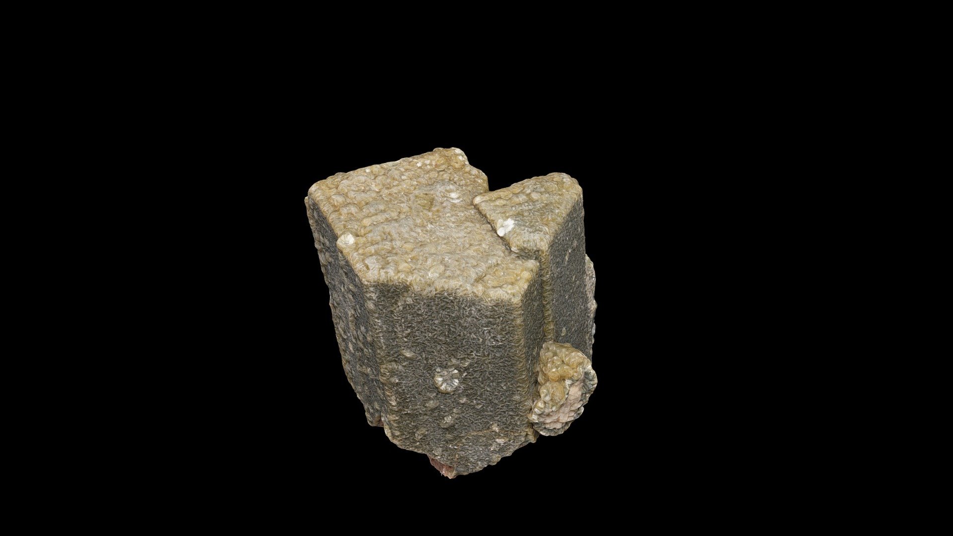 MIKROKLIN - Download Free 3D model by Prirodoslovni muzej Slovenije ...