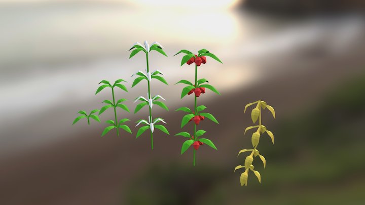 Low Poly Plant Life Cycle 3D Model