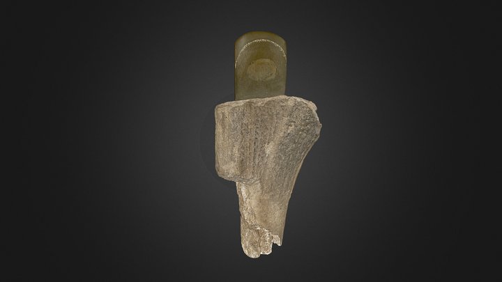 Hache Neolithique 3D Model