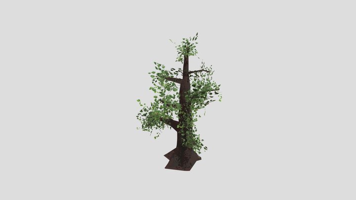 Tree 3D Model