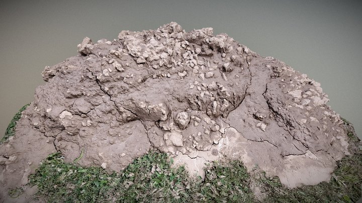 Mud Mountain - Raw Scan 3D Model