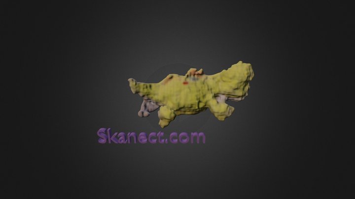 Dino 3D Model